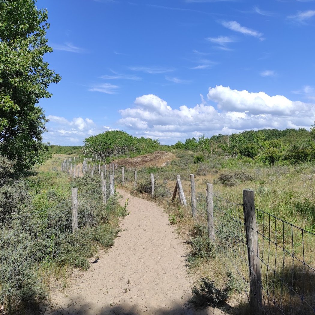 Sentier des Fauvettes 1